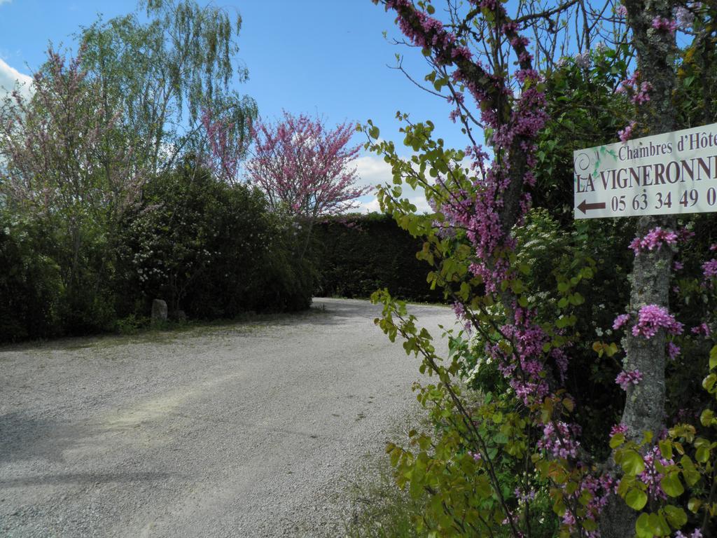 Chambres D'Hotes La Vigneronne Senouillac Kültér fotó